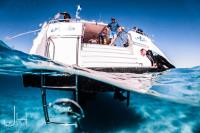 Whale Shark Tours – Ningaloo  Whaleshark-N-Dive  image 2